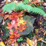 Mary Elizabeth Ogburn - @maryelizabethogburn - Instagram