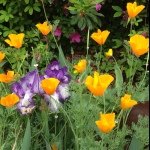Mary Ogburn - @melogburn52 - Instagram