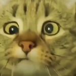 Mary Oglesbee - @marylouknight2be - Instagram