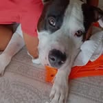 Mary Oldani - @mary.oldani.50 - Instagram