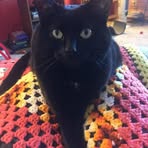 Mary Oldenburg Dexter - Facebook