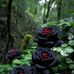 Mary Olvera - Facebook
