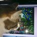 Maria Omlor - Facebook