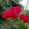 Mary Ondon - @mary.ondon - TikTok