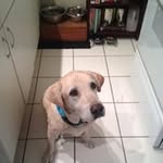 Mary Conley - @maryconley07 - Instagram