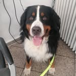 Mary Opp - @rufus_new_life - Instagram