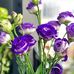 Mary Oppong - Facebook