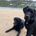 Mary Oram - Facebook