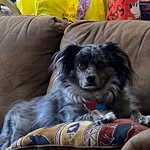 TravelerMama - @maryorthmann6 - Instagram