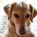 Marion Pabst - Facebook