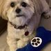 Mary Pabst - Facebook
