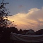 Mary Pabst - @mdpabst1 - Instagram