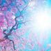 Mary Pacelli - Facebook