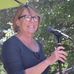 Mary Pacifico Curtis - author - Facebook