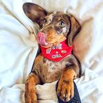 Mary Pack - @marypack610 - Instagram