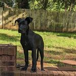 Mary Pack - @mkpack64 - Instagram
