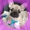 Marie Pain - @mariepain1 - TikTok