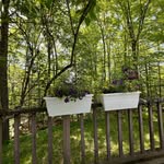 Mary Ann Palamara Gessner - @maryagessner - Instagram