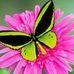 Mary Palin - Facebook