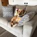 Mary Panetta - Facebook