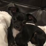 Mary Panos Koulouberis - @mpk1121 - Instagram