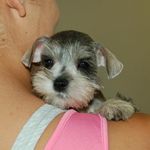 Mary R. Paoletti - @mary.toothfairy - Instagram