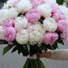 Maria Passerini59 - @mary.passerini - TikTok