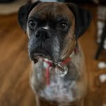 Mary Patch - @mls0707 - Instagram