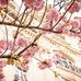 Mary Patchett - Facebook
