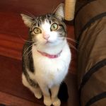 rosemary - @rose.marypavao - Instagram