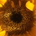 Mary Anne Pedrick - Facebook