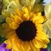 Mary Anne Pedrick - Facebook