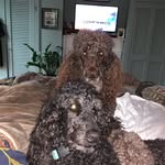 Mary Hays Peller - @maryhpeller - Instagram
