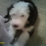 Mary Jane Pellicano - @lil_frit - Instagram