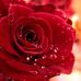 Mary Pelt - Facebook