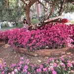 Mary Peltier - @mary.peltier.391 - Instagram