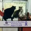 Mary Peltoma - @mary.peltoma - TikTok