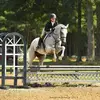 mary_vanpelt_eq - @mary_vanpelt_eq - TikTok