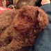 Mary Penley - Facebook