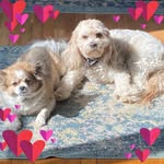 Mary Penton Werkheiser - @mwerkie - Instagram