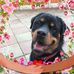 Mary Peplow - Facebook