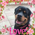 Mary Peplow - @mpeplow - Instagram