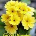 Mary Perera - Facebook