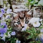Jane-Mary Perin - @janemaryperin - Instagram