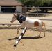 Sister Mary Pete: A Circus Story - Facebook