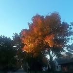 Mary Petoskey - @marypetoskey - Instagram