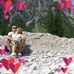 Mary Perelli - Facebook