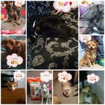 Mary Petry Retos - @6c2bb59b9b - Instagram