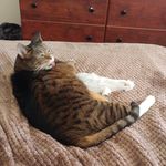 Mary Philo - @jazkat46 - Instagram