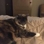 Mary Pichette - @mary.pichette.568 - Instagram